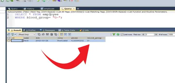 How to use where clause or keyword in SQL statement